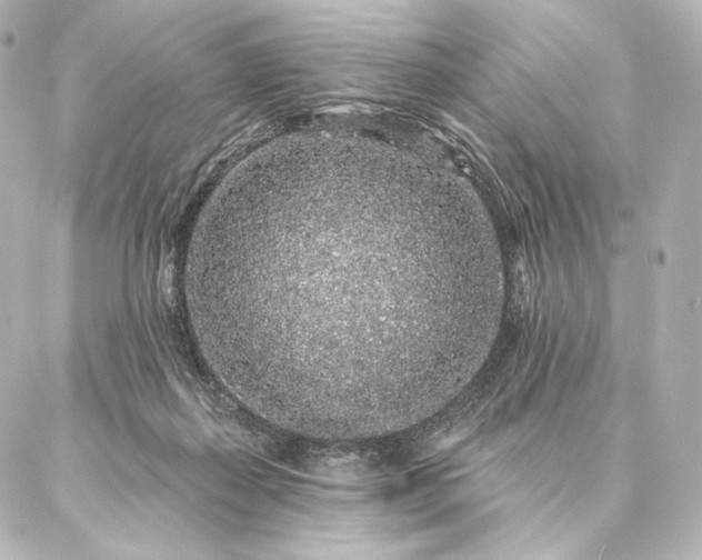 X0000086950267200704231433