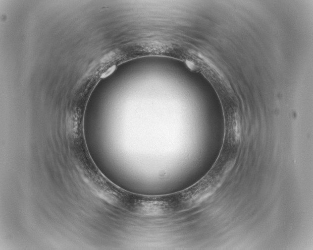 X0000086950268200704231433