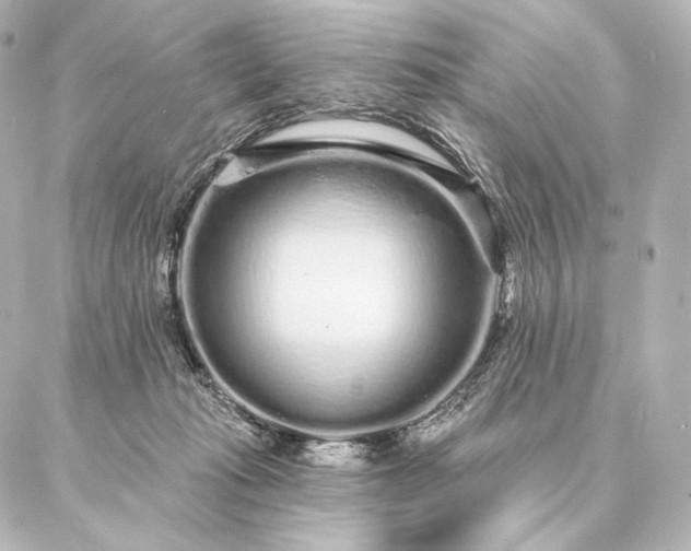 X0000086950269200704231433