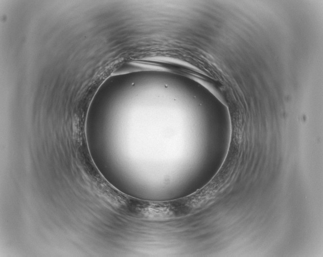 X0000086950270200704231433