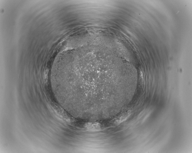 X0000086950271200704231433