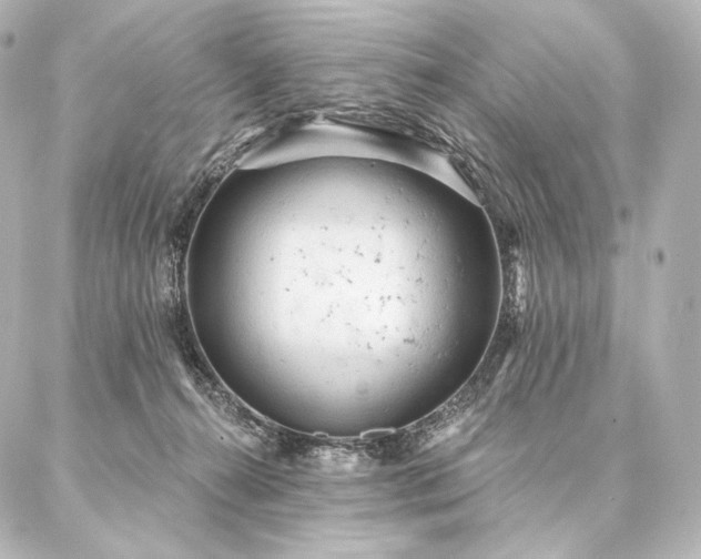 X0000086950272200704231433