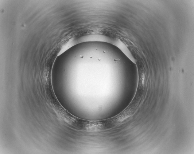 X0000086950274200704231433