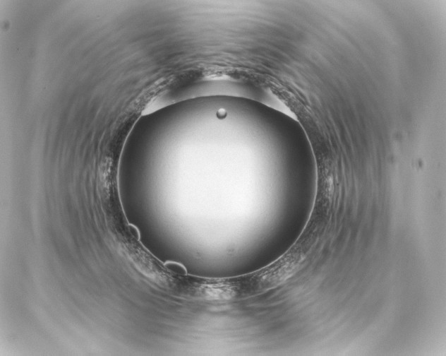 X0000086950275200704231433