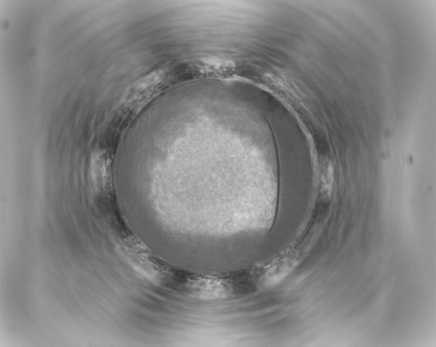 X0000086950276200704231433