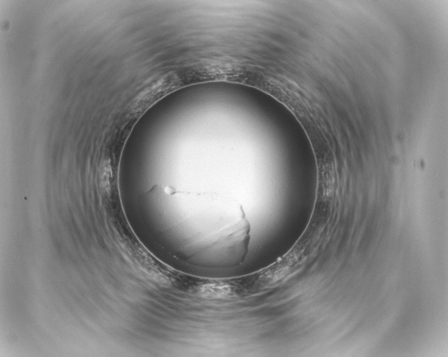 X0000086950279200704231433