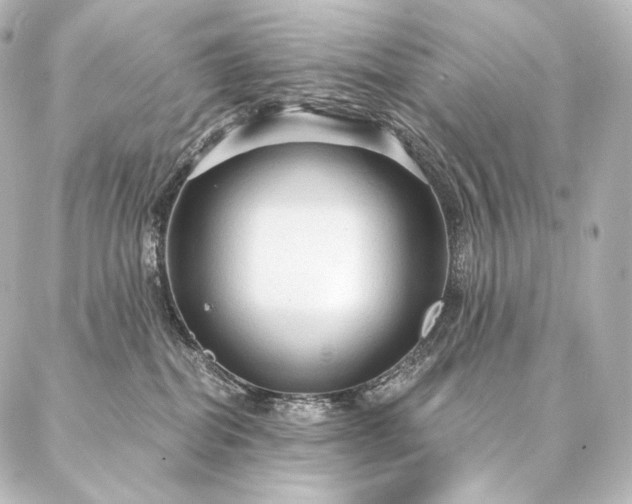 X0000086950282200704231433