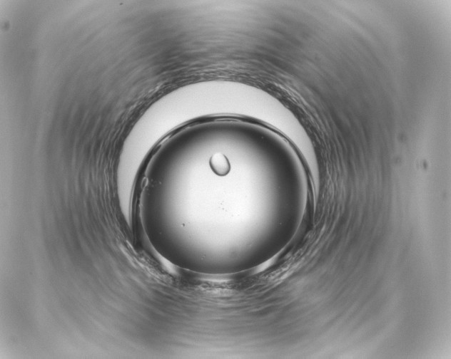 X0000086950284200704231433