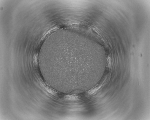 X0000086950286200704231433