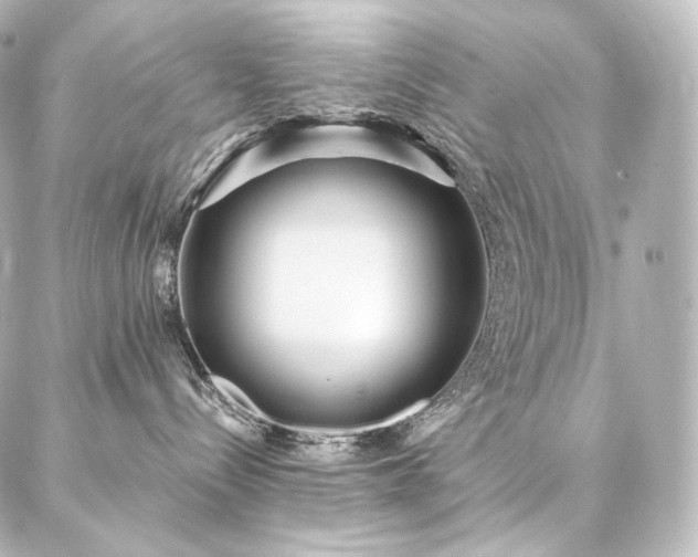 X0000086950288200704231433