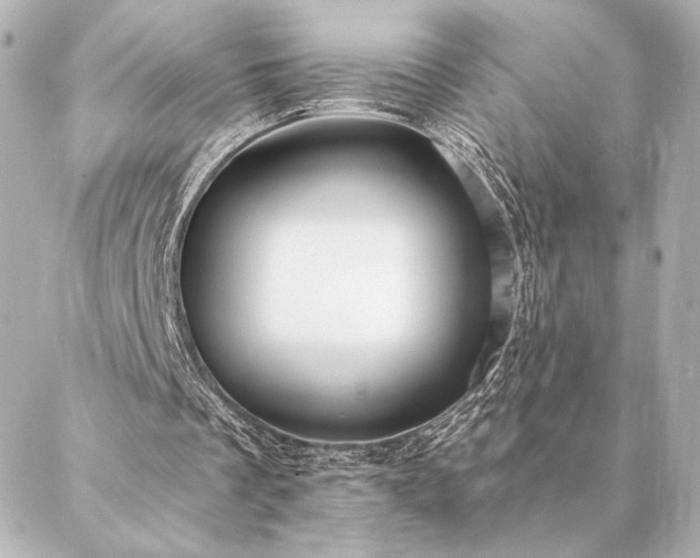 X0000086950289200704231432