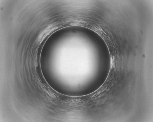 X0000086950291200704231432