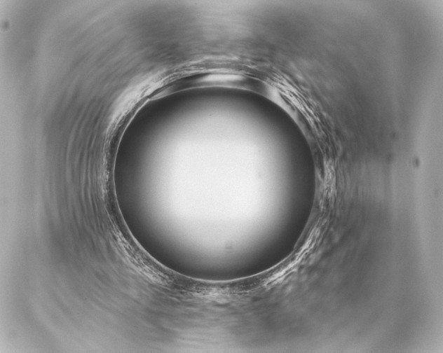 X0000086950293200704231432