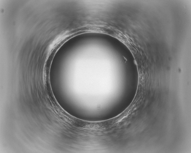 X0000086950294200704231432