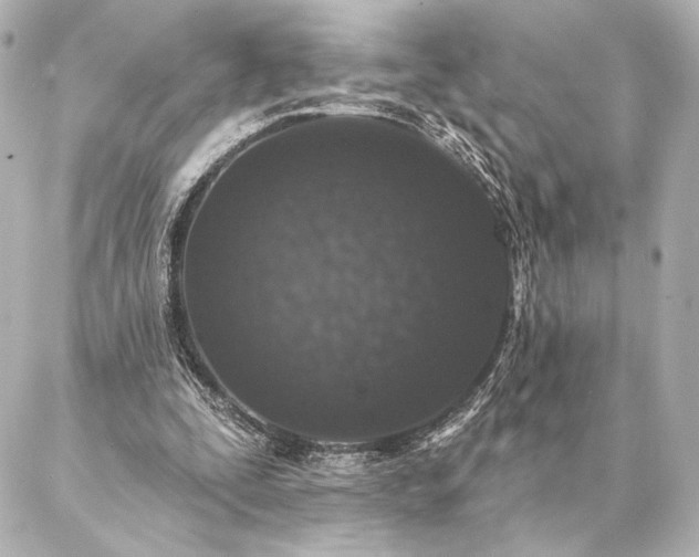 X0000086950295200704231432