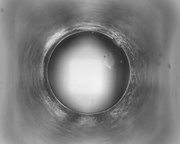 X0000086950296200704231432