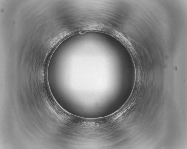 X0000086950298200704231432