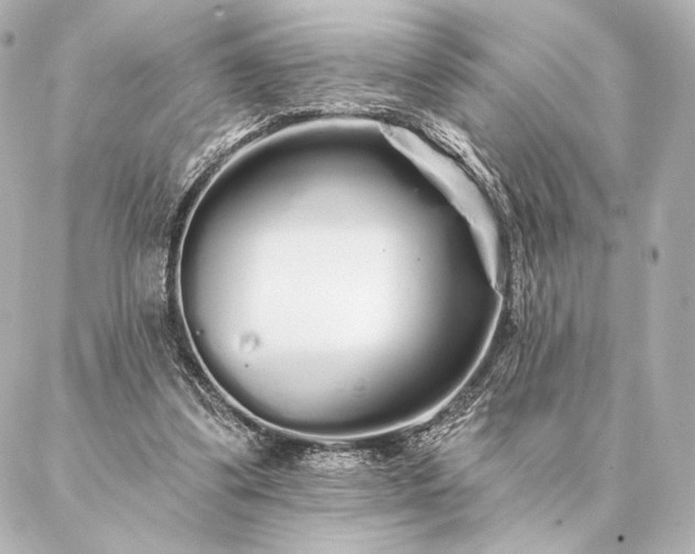 X0000086950299200704231432