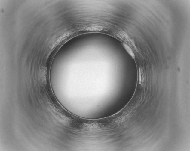 X0000086950300200704231432