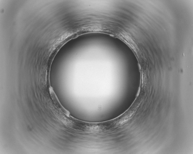 X0000086950301200704231432