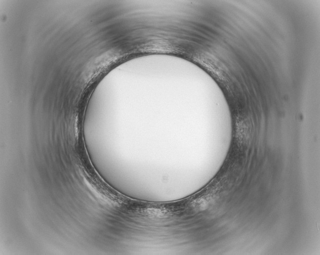 X0000086950302200704231432