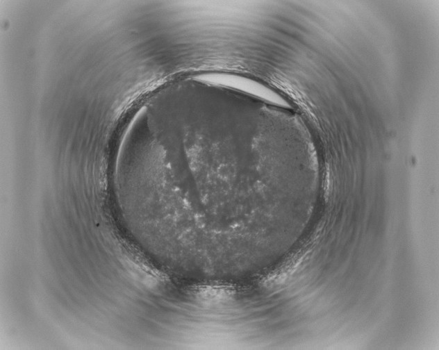 X0000086950303200704231432