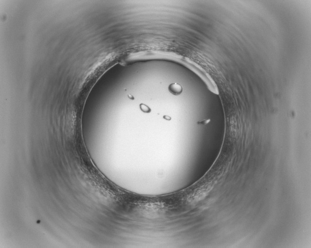 X0000086950304200704231432