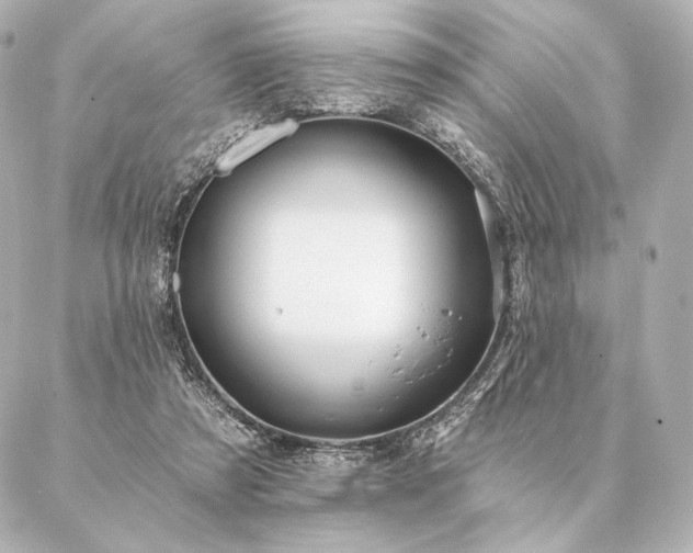 X0000086950305200704231432