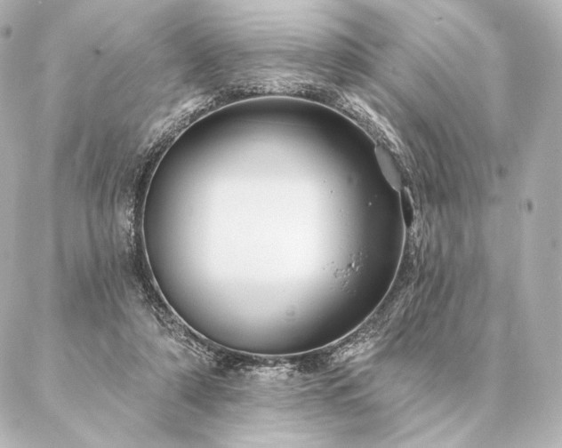 X0000086950306200704231432