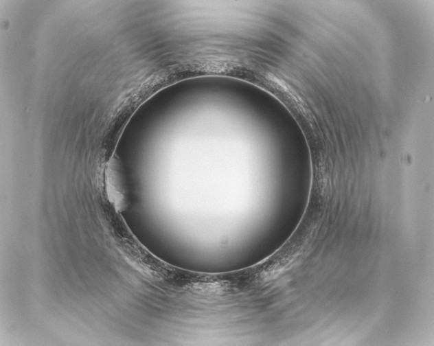 X0000086950307200704231432