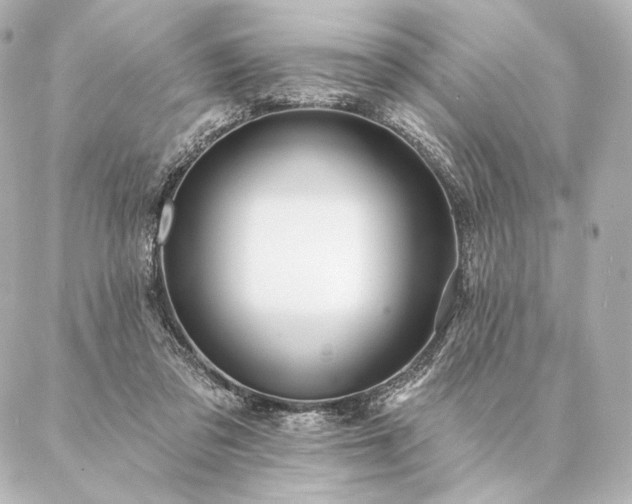 X0000086950309200704231432