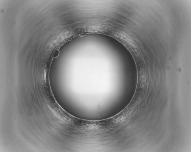 X0000086950310200704231432