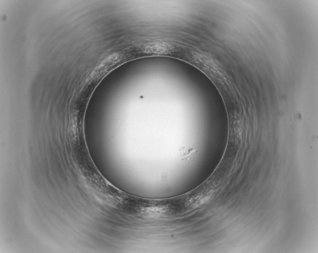 X0000086950312200704231432