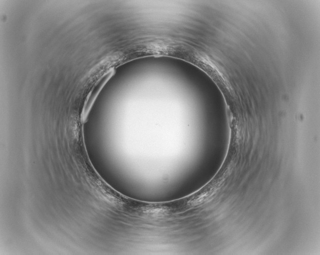 X0000086950313200704231432