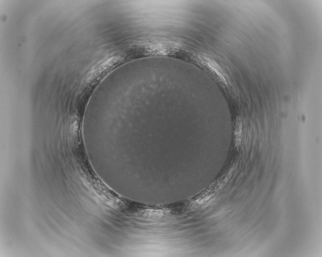 X0000086950314200704231432