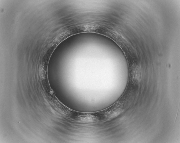 X0000086950316200704231432