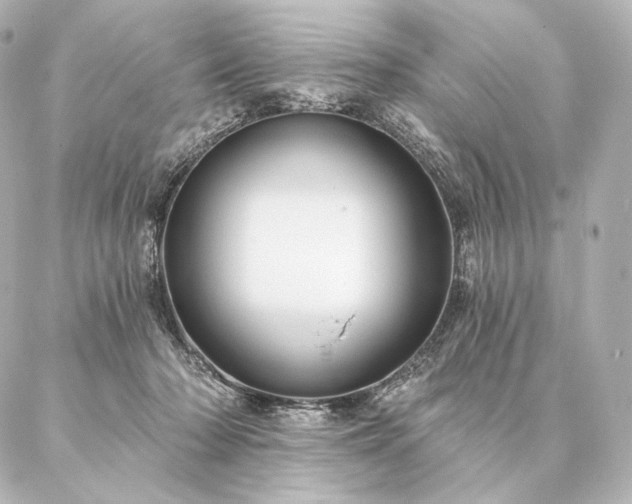 X0000086950318200704231432