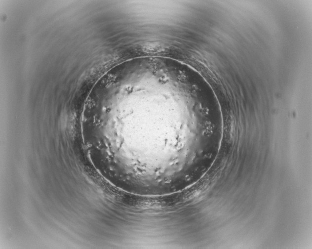 X0000086950319200704231432