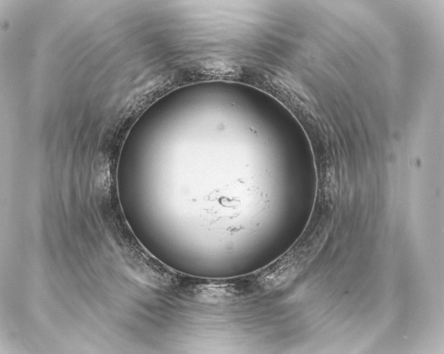 X0000086950320200704231432