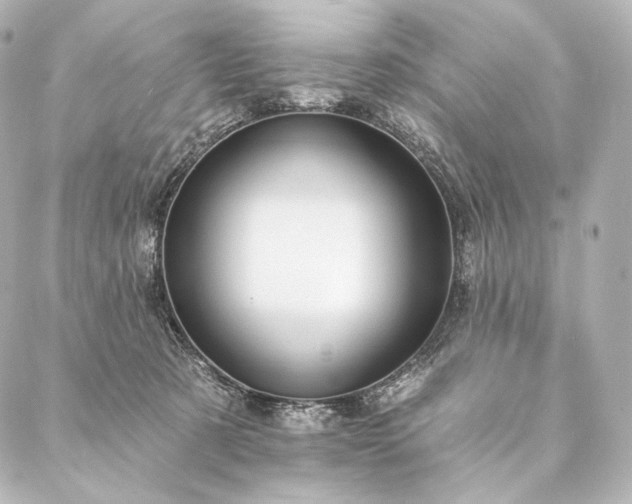 X0000086950321200704231432