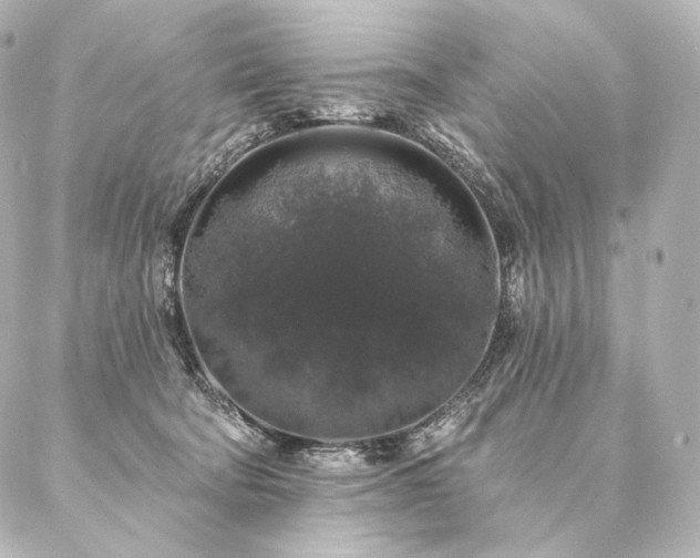 X0000086950322200704231432