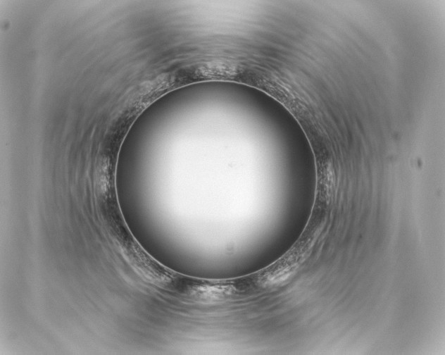 X0000086950323200704231432