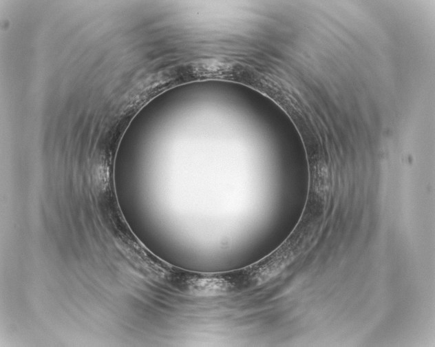 X0000086950324200704231432