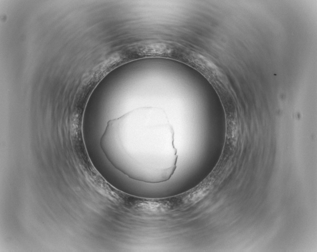 X0000086950326200704231432