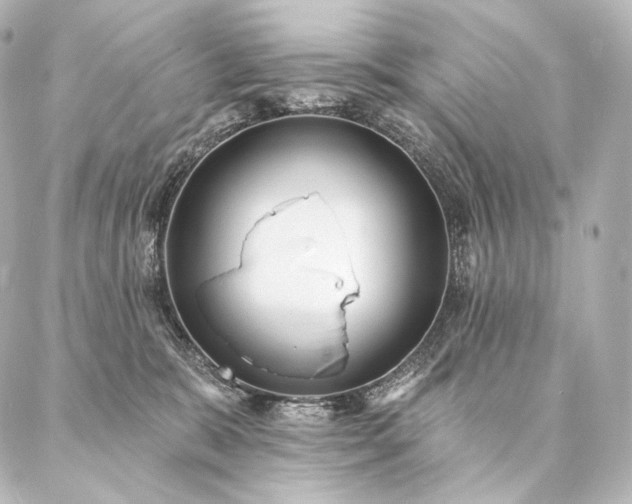 X0000086950327200704231432