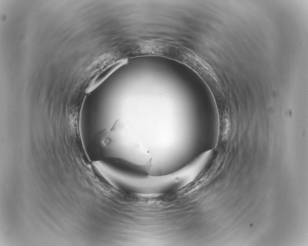 X0000086950329200704231432