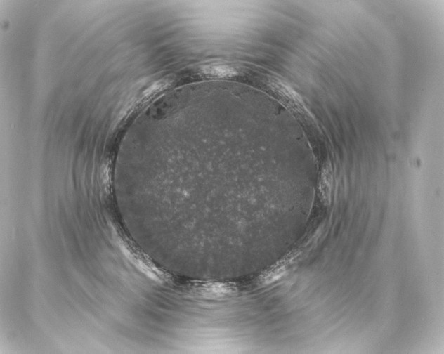 X0000086950330200704231432