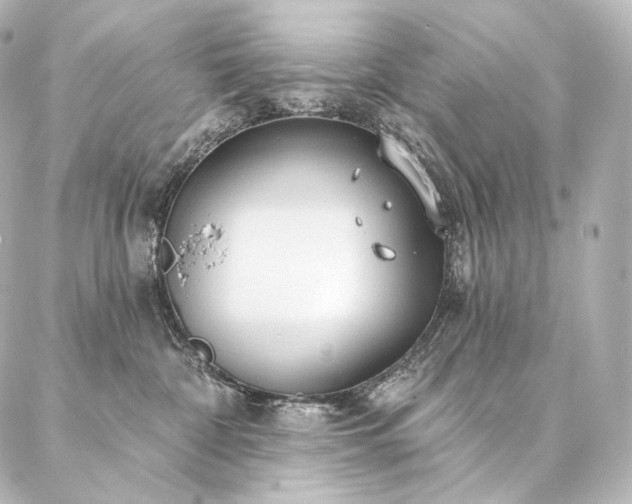 X0000086950332200704231432