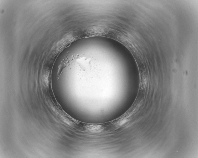 X0000086950334200704231432