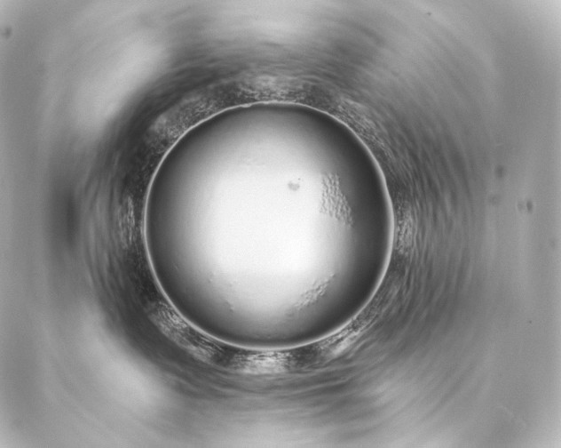 X0000086950335200704231432